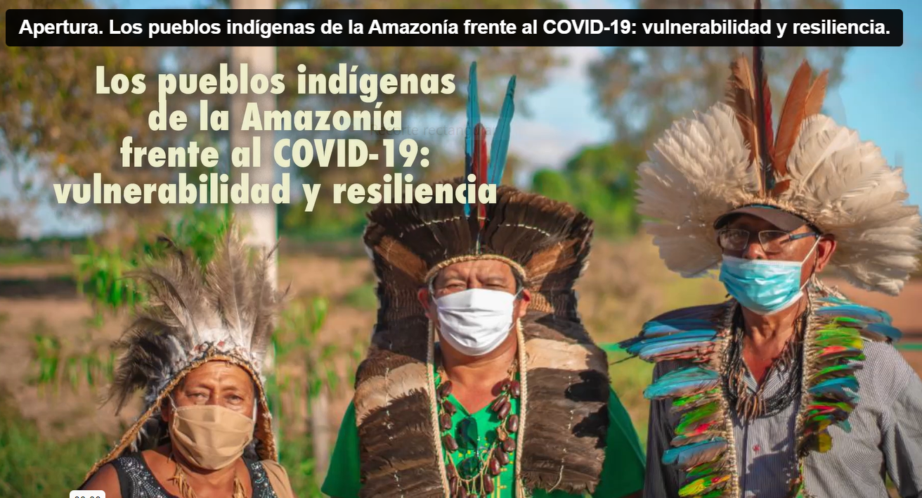 Los pueblos indígenas de la Amazonía frente a la COVID-19: vulnerabilidad y resiliencia