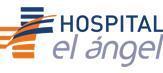 Logo El Angel